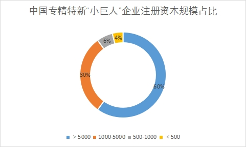 專精特新“小巨人”企業(yè)注冊資本規(guī)模占比