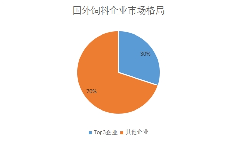 國外企業(yè)市場格局
