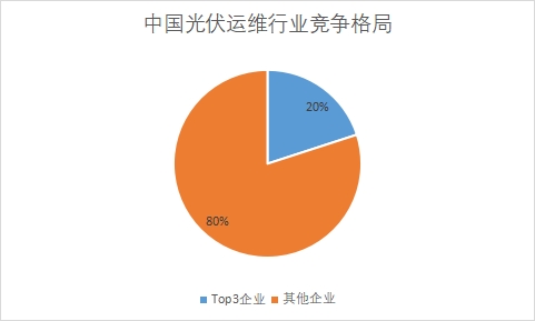 各企業(yè)市場(chǎng)份額占比