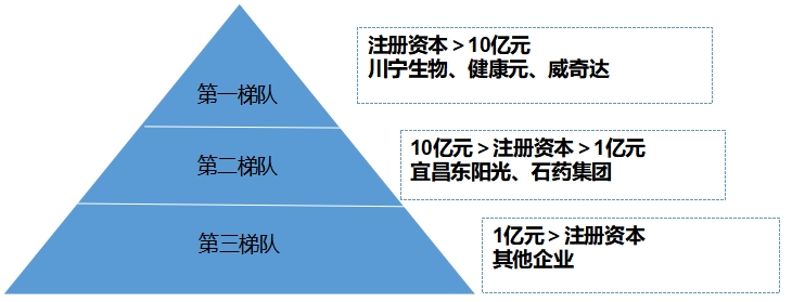 中國抗生素行業(yè)競爭格局及重點(diǎn)企業(yè)研究