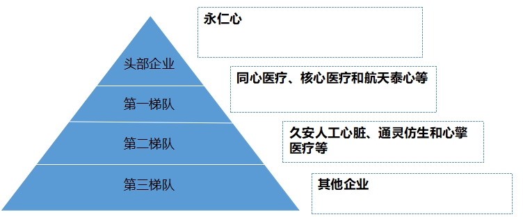 中國心室輔助裝置行業(yè)競爭格局及重點企業(yè)經(jīng)營情況調(diào)研