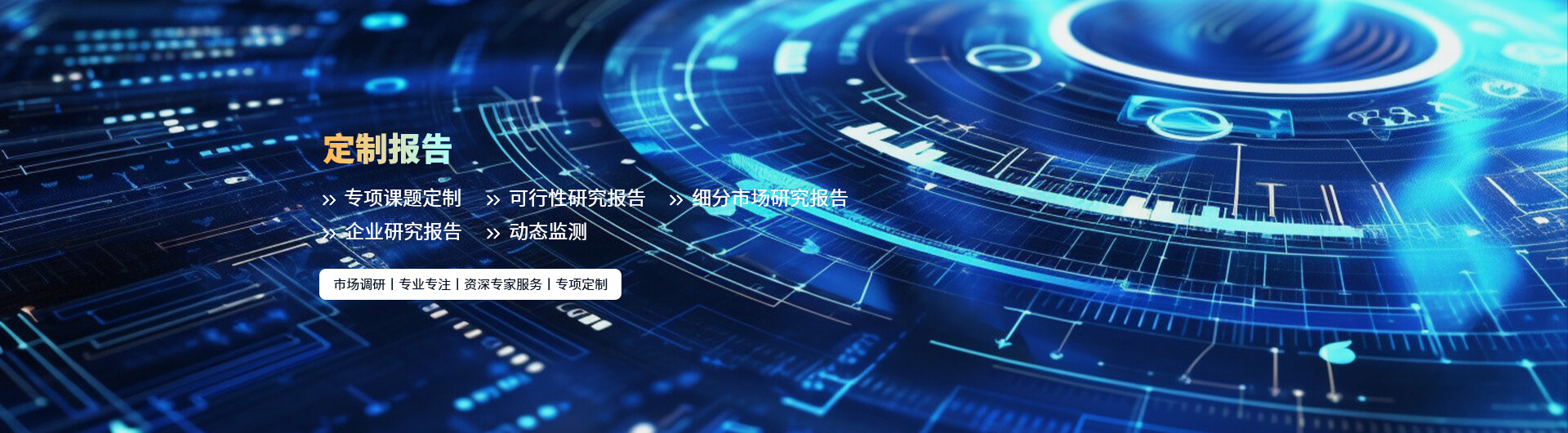 定制報(bào)告