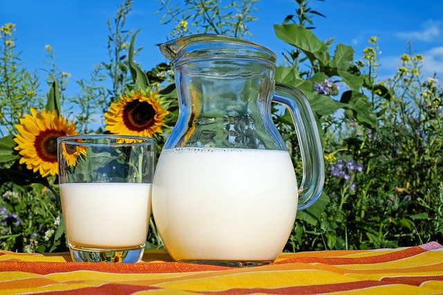 中國乳制品市場調(diào)研