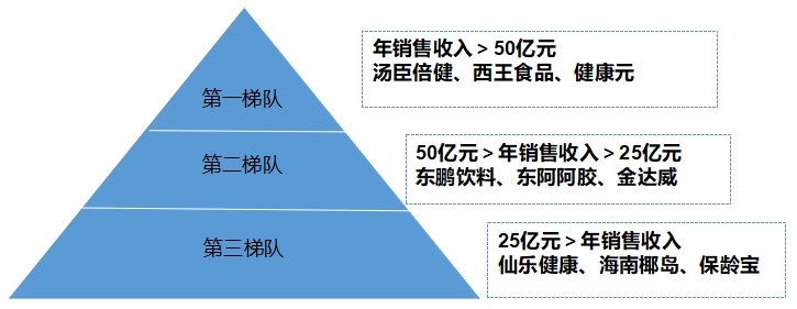 中國功能食品行業(yè)調(diào)研