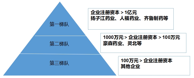 中國神經(jīng)系統(tǒng)用藥行業(yè)調(diào)研