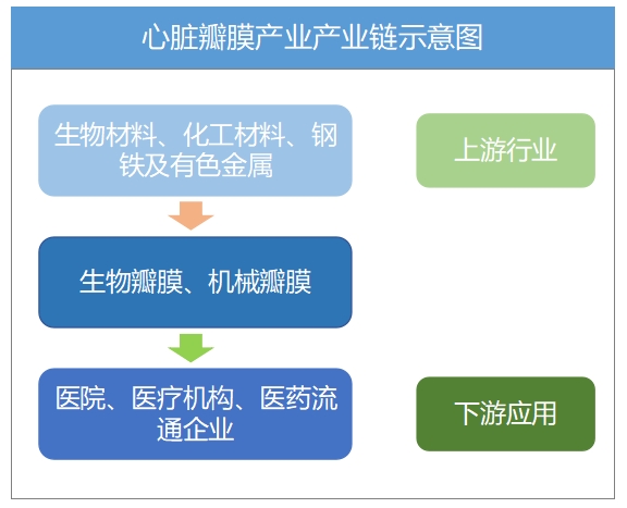 全球及中國心臟瓣膜行業(yè)研究報告