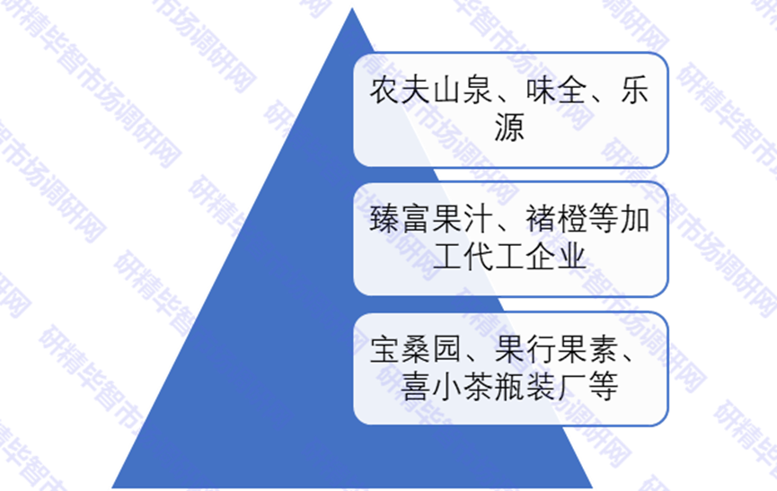 中國NFC果汁競爭梯隊(duì)
