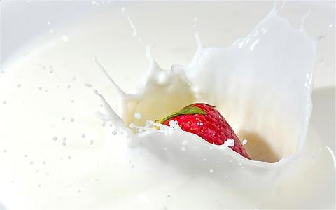 全球及中國羊奶行業(yè)研究報告