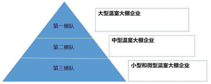 中國溫室大棚市場(chǎng)梯隊(duì)