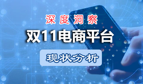 2023年雙11電商平臺(tái)現(xiàn)狀分析