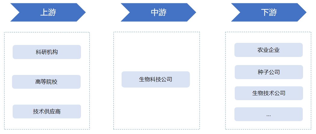 基因編輯育種行業(yè)產業(yè)鏈分析