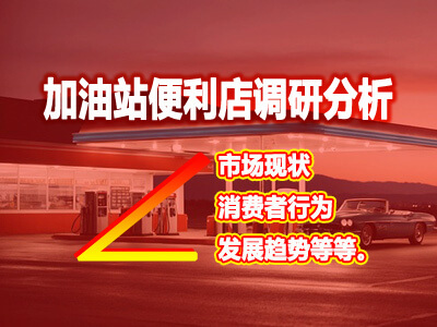 加油站便利店市場(chǎng)現(xiàn)狀/消費(fèi)者行為/發(fā)展趨勢(shì)等調(diào)研分析