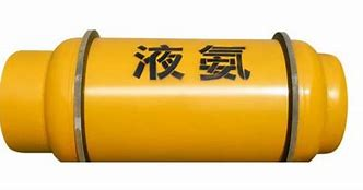 詳情