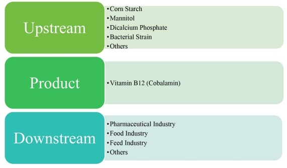 維生素B12(鈷胺素)價值鏈分析 維生素B12(鈷胺素)價值鏈分析
