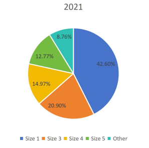 2021年按類(lèi)型劃分的全球足球生產(chǎn)市場(chǎng)份額(%) 2021年按類(lèi)型劃分的全球足球生產(chǎn)市場(chǎng)份額(%)