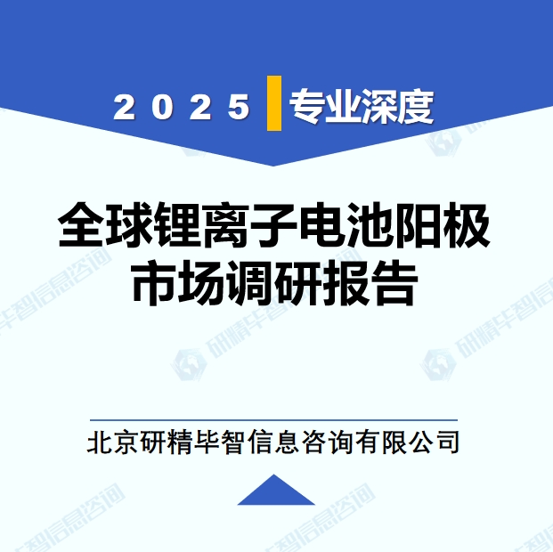 2025年全球與中國鋰離子電池陽極市場深度調(diào)研報(bào)告：行業(yè)趨勢與投資前景分析