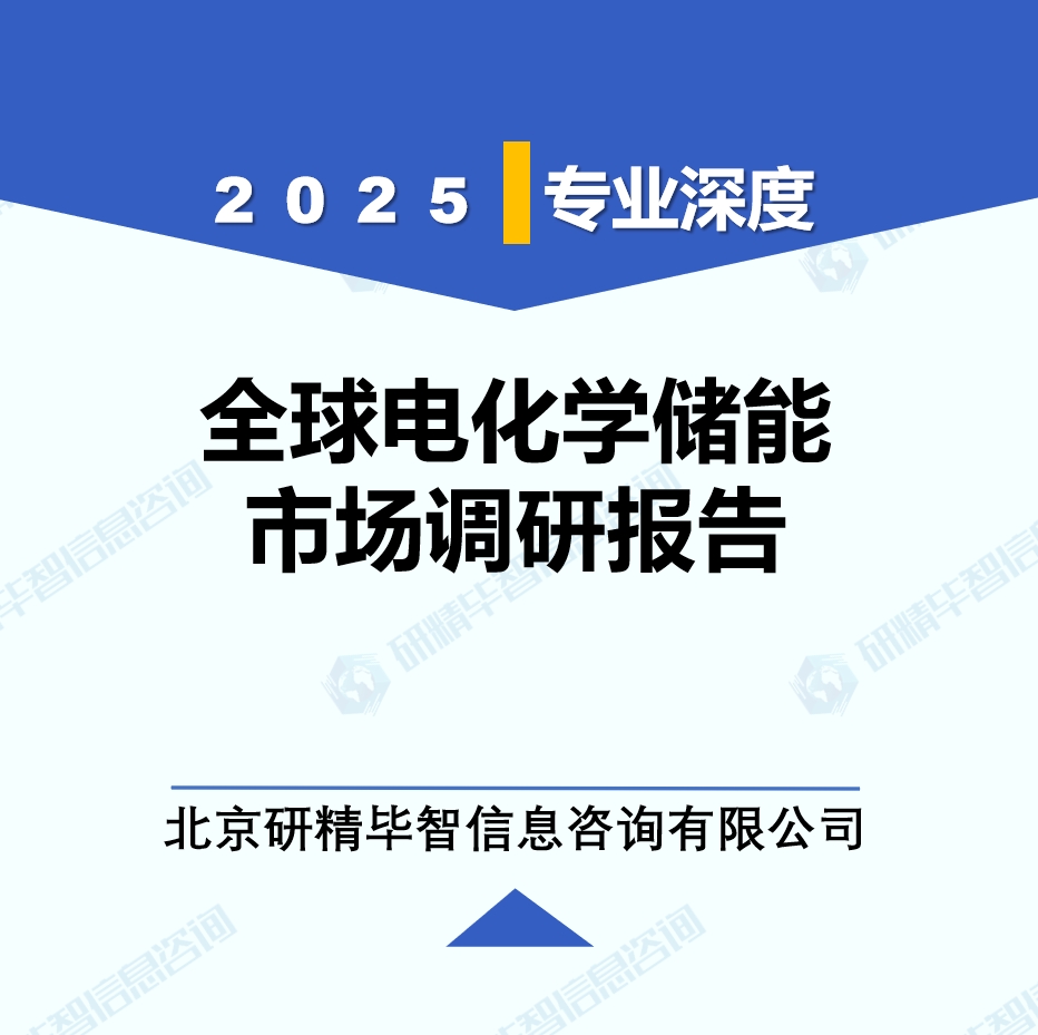 電化學(xué)儲能年度動態(tài)監(jiān)測調(diào)研報告（2025年）